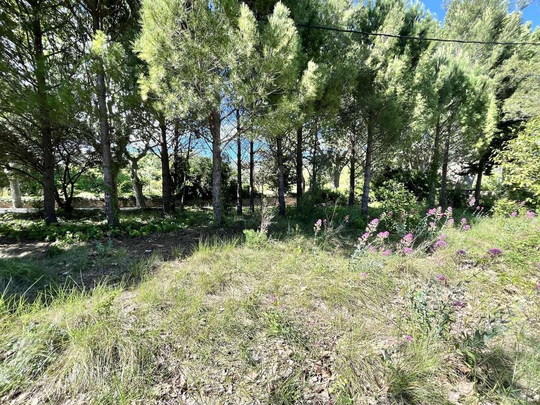 Puget-Ville – Terrain constructible de 1 030 m² avec fort potentiel - photo 2