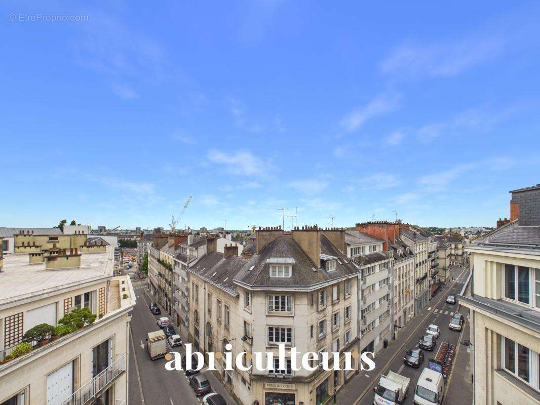 Splendide appartement familial d'environ 200m² dans un immeuble ancien en vente à Nantes (44000) - photo 9
