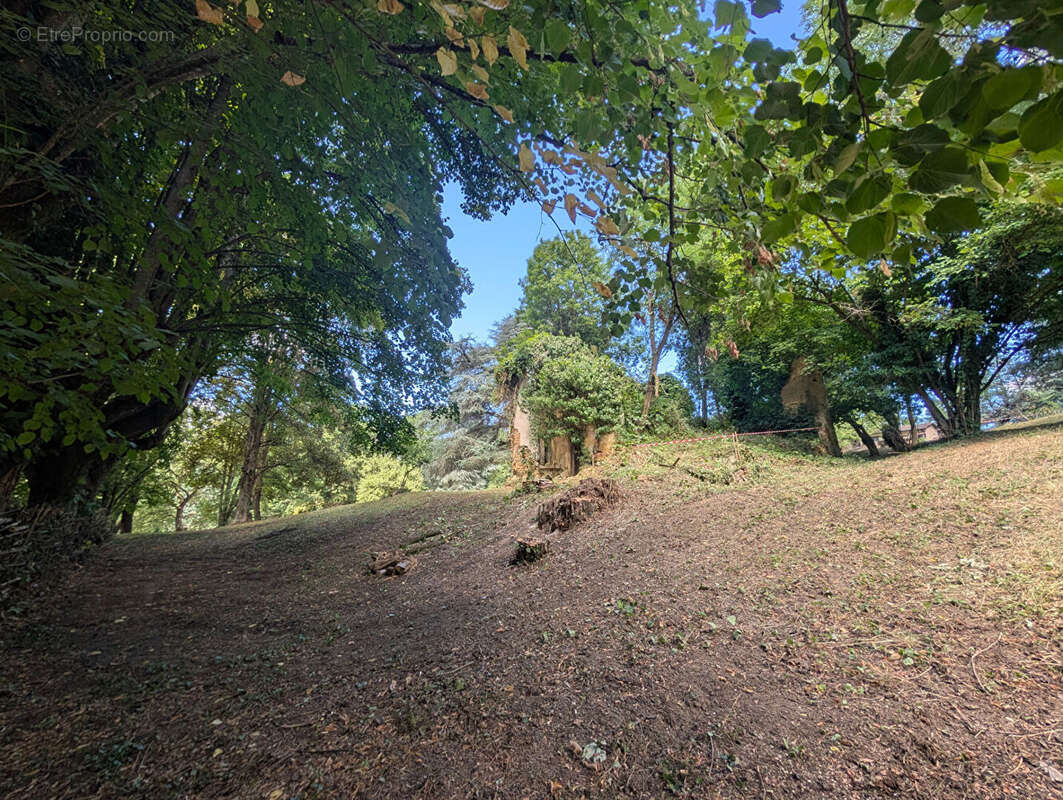 Terrain - Vienne  -16000 m2 - photo 3