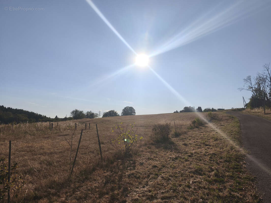 maison de plain pied sur 8700m2 de terrain - photo 7