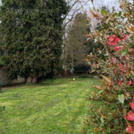 1 n°3 - Maison à ACHEUX-EN-VIMEU