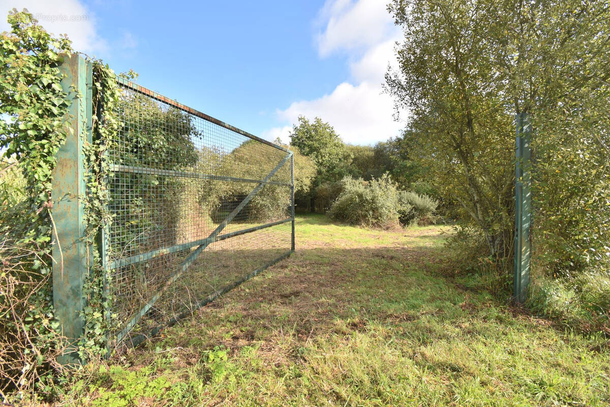 Terrain de loisir - photo 3