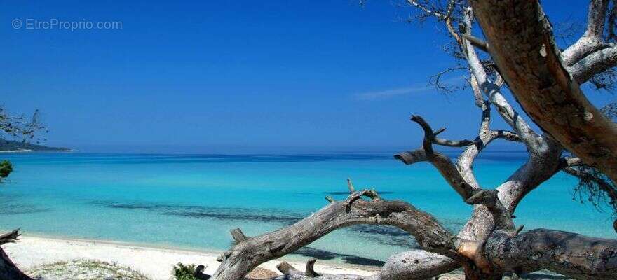 Appartement à SAN-MARTINO-DI-LOTA