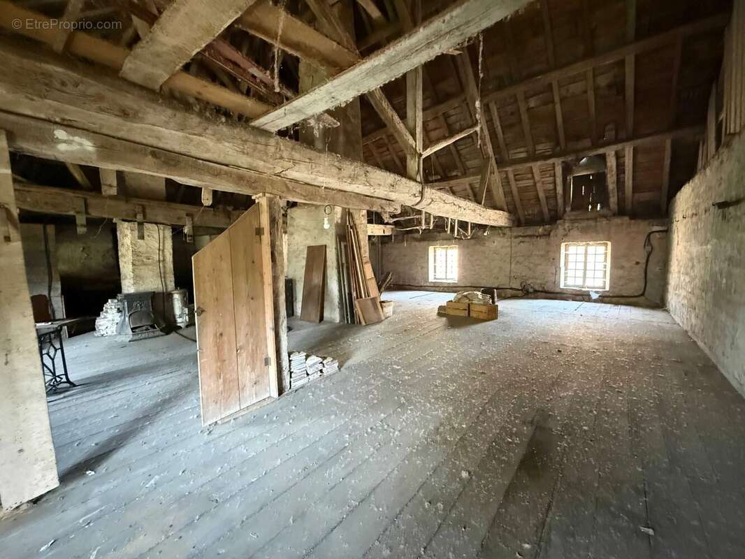 Magnifique manoir original dans un grand village avec toutes les commodités, situé au bord de la Saône - photo 31