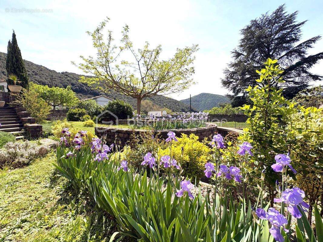 Elégante demeure de charme, aux pieds des Cévennes, avec piscine et vue dégagée - photo 27