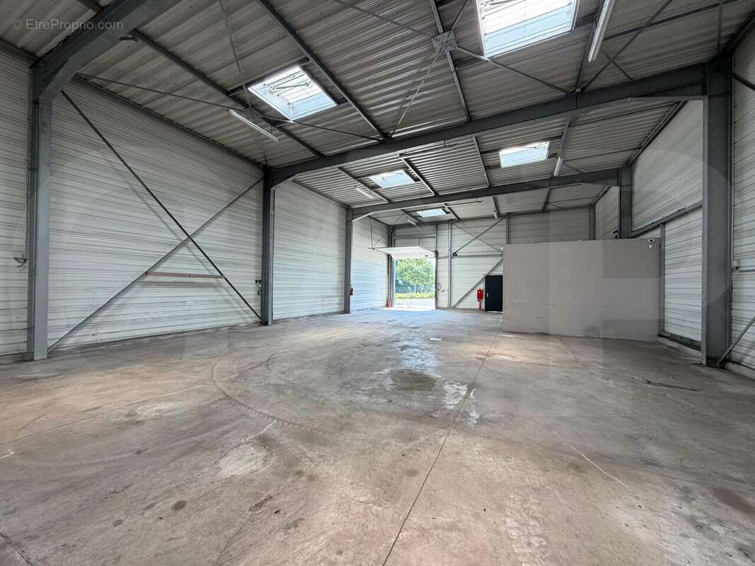 324 m² à Plaintel  - photo 4