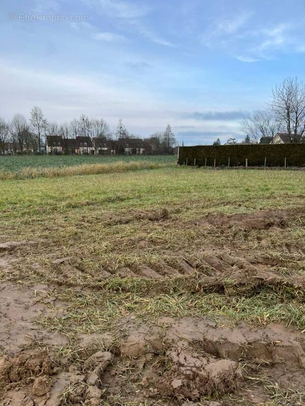 Terrain à SAINT-REMY-DES-MONTS