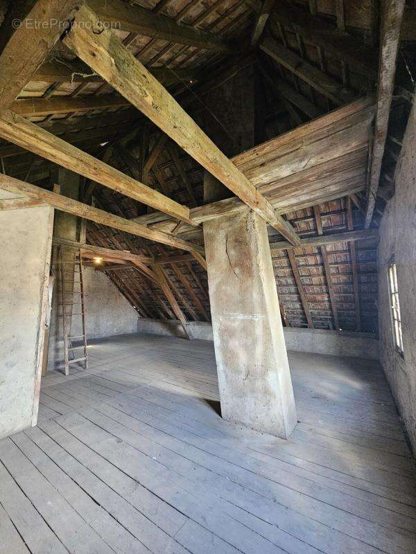 Maison à WITTELSHEIM