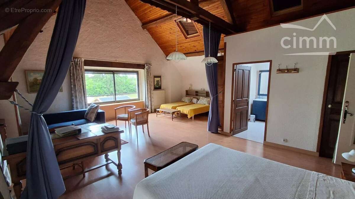 A VENDRE, Vineuil, propriété de charme avec chambres d'hôtes, gites et piscine - photo 14