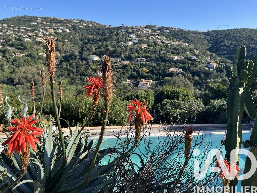 Photo 2 - Maison à ROQUEBRUNE-SUR-ARGENS