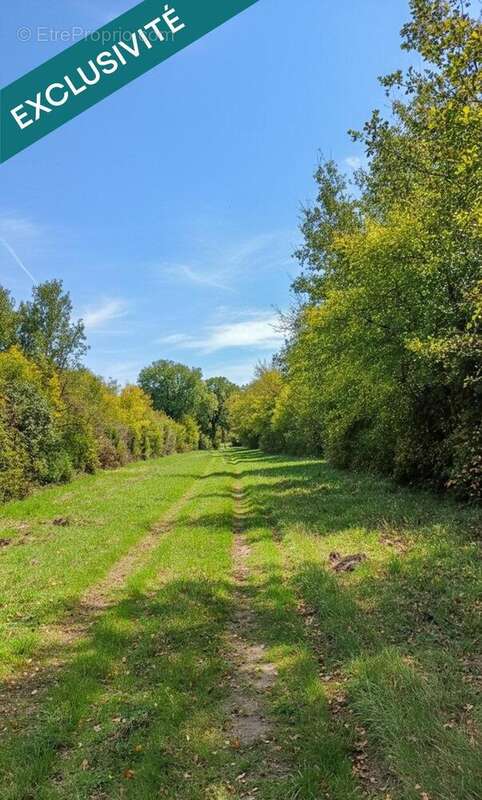 Photo 7 - Terrain à BENON