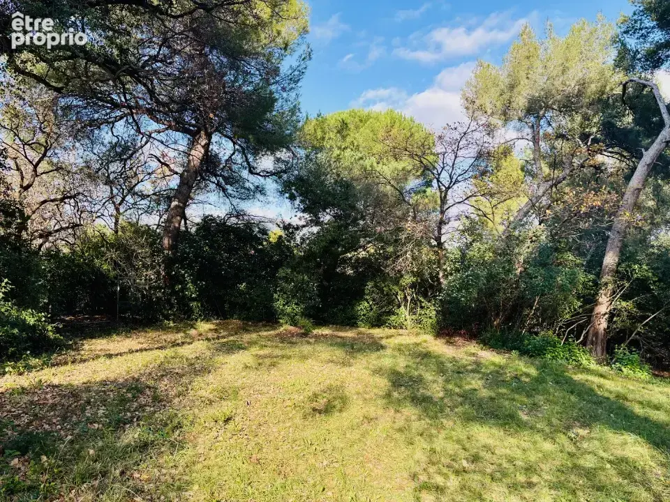 Photo Terrain à Ollioules au prix de 265 000€