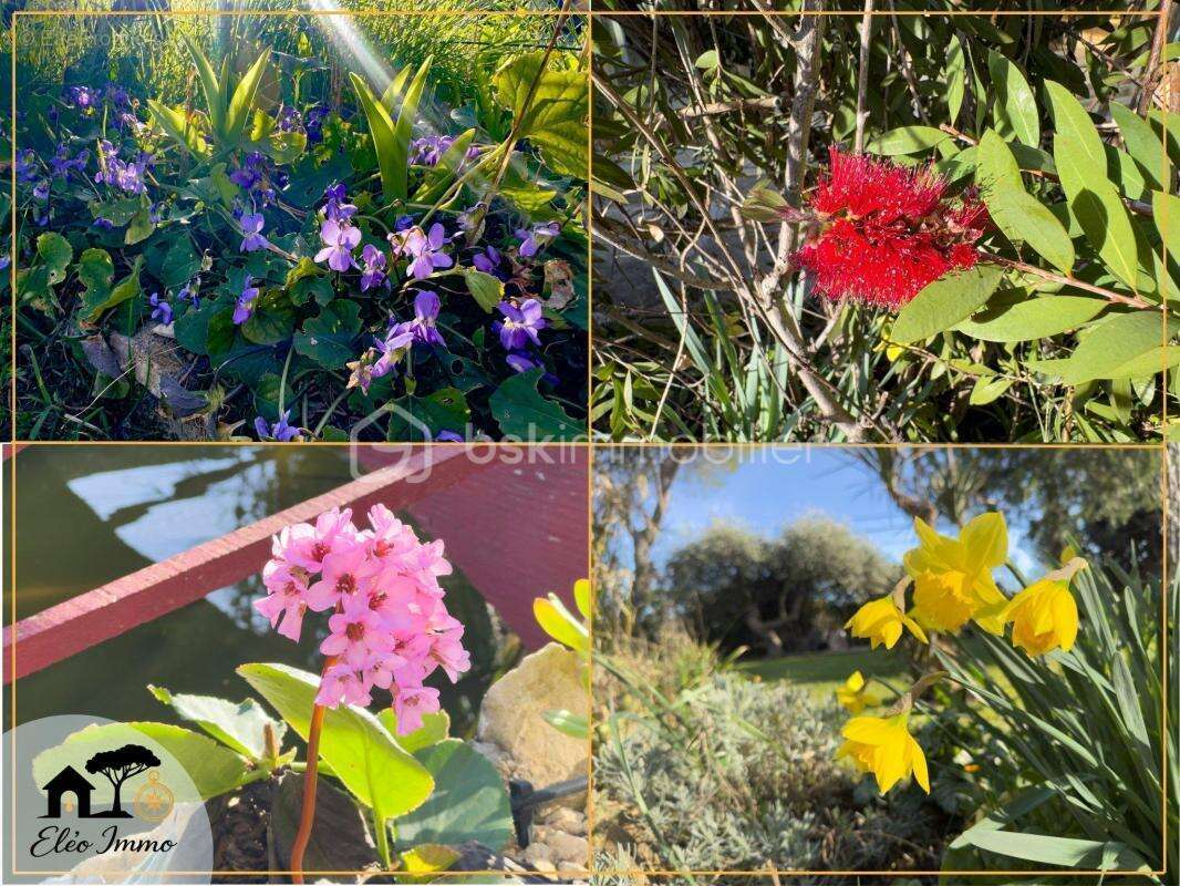 Maison à BEDARRIDES
