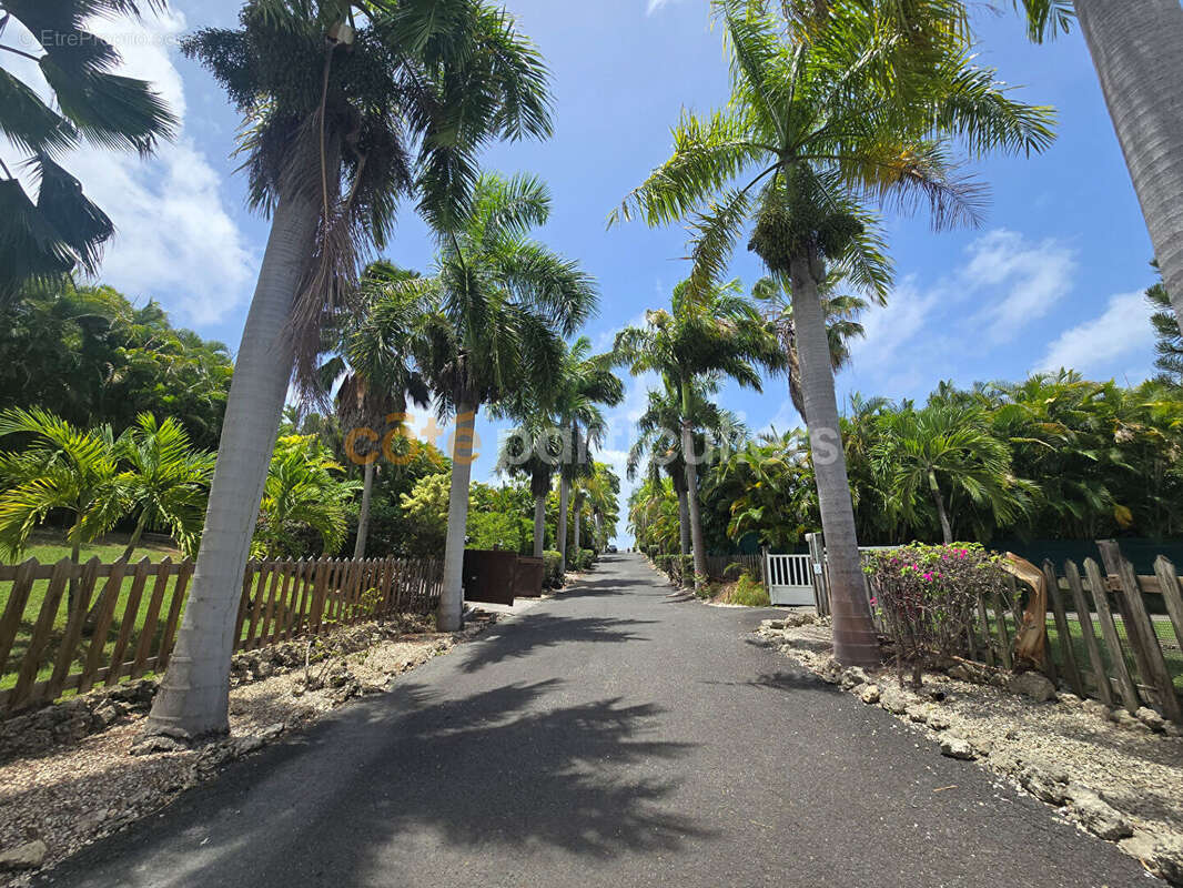 Villa f4 - route touristique saint francois - photo 16