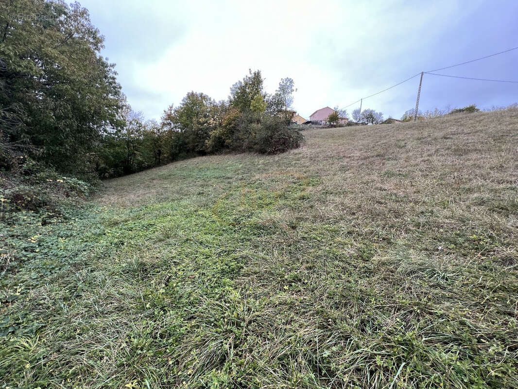 Terrain à SAINT-AFFRIQUE