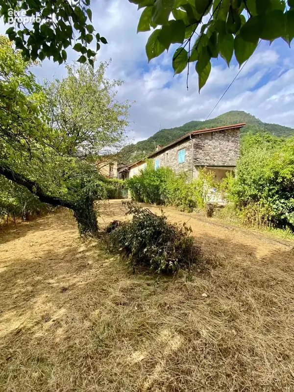 Centre village - photo 11