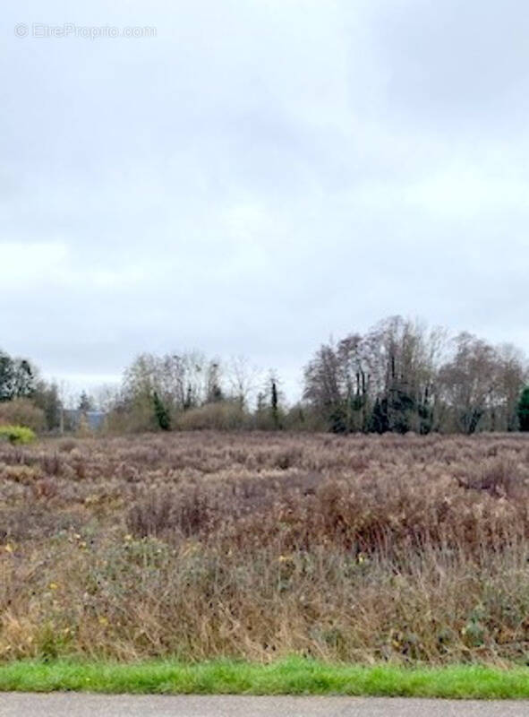 Terrain à THEIL-SUR-VANNE