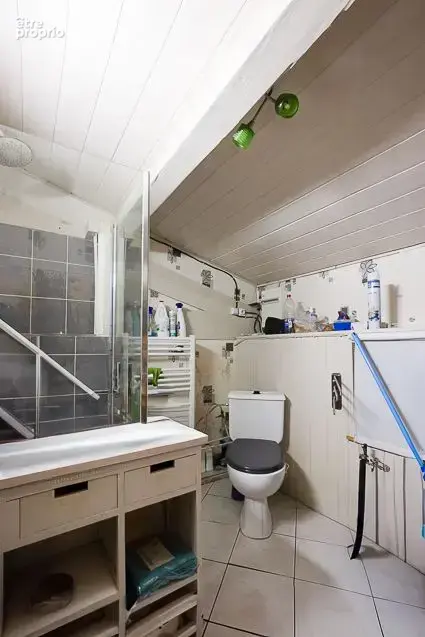 Propriété de caractère et rénovation d'exception à Limas - photo 30
