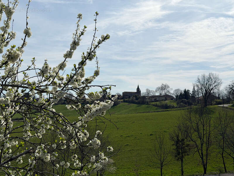 Maison à MARCIAC
