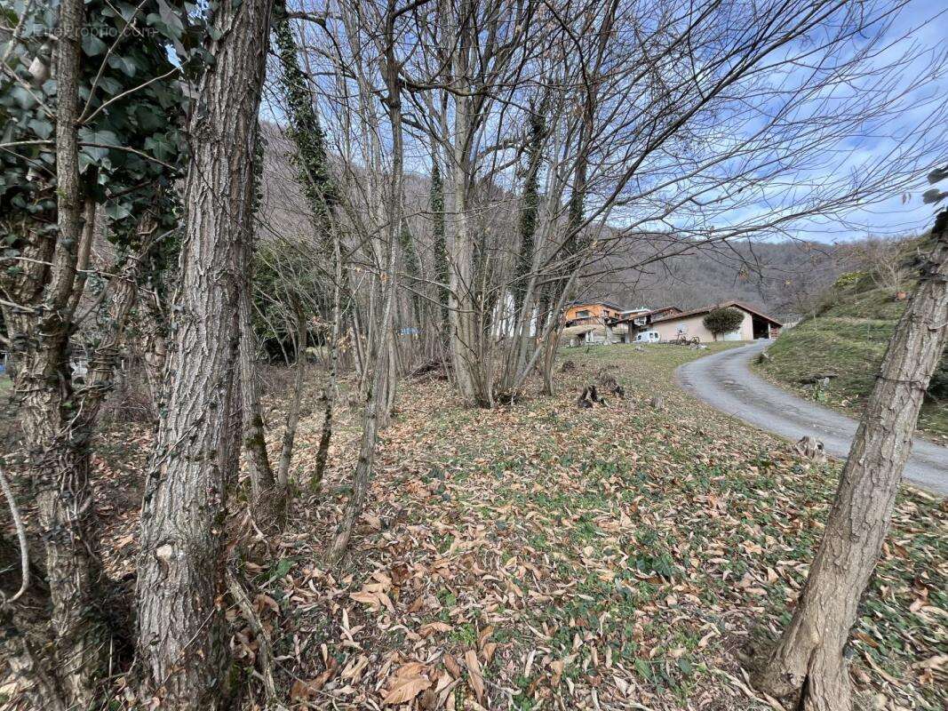 Terrain à MERCUS-GARRABET