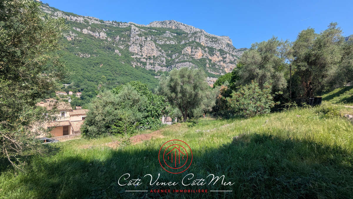 Terrain à TOURRETTES-SUR-LOUP