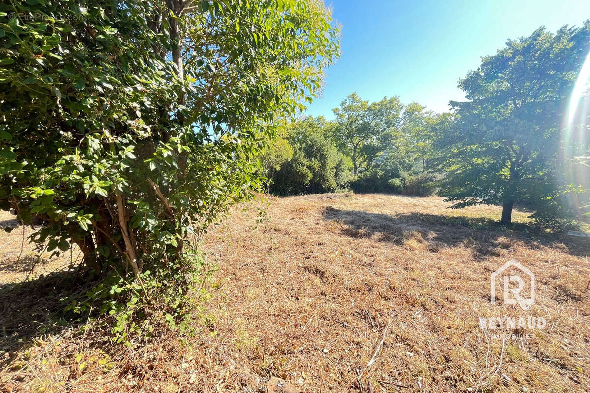 Terrain 1220 m² à Clermont-L'herault  - photo 4