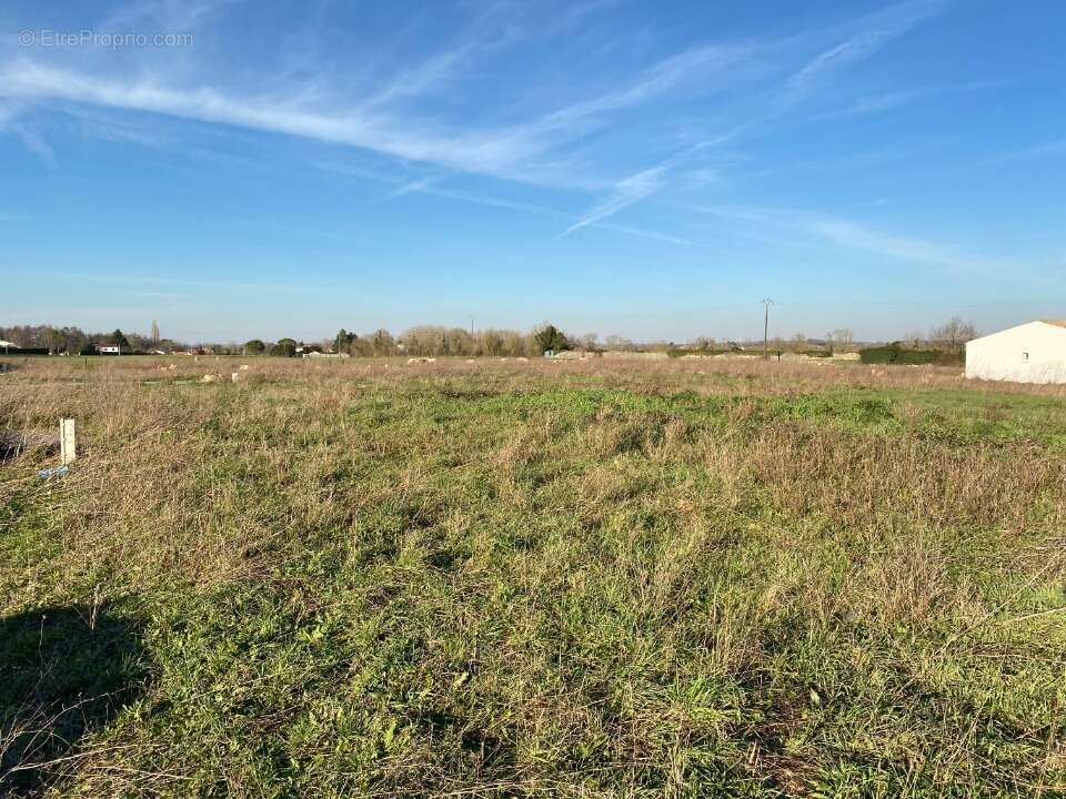 Terrain 686 m² à Port-D'envaux  - photo 2