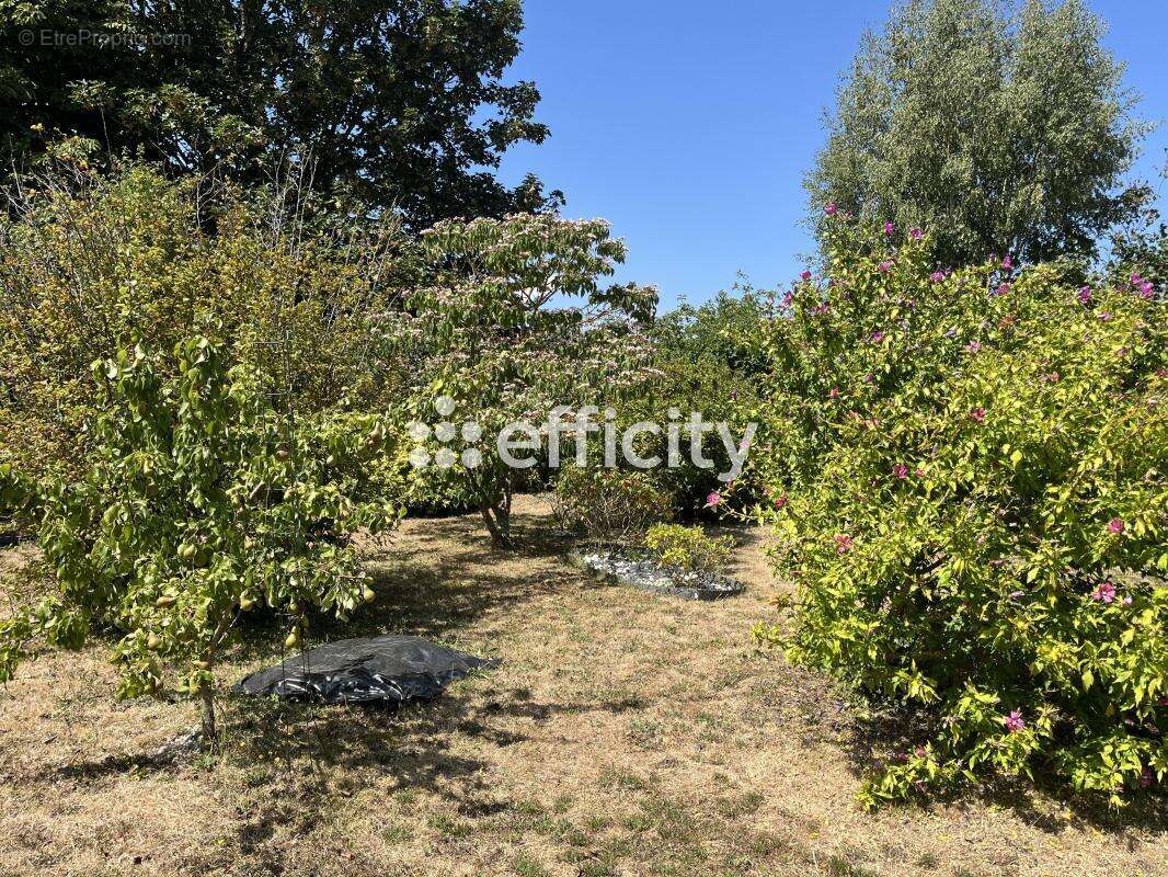Maison de village - photo 21