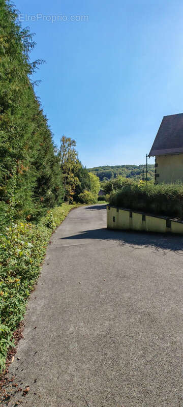Maison 287 m² à Saint-Martin-D'ablois  - photo 4