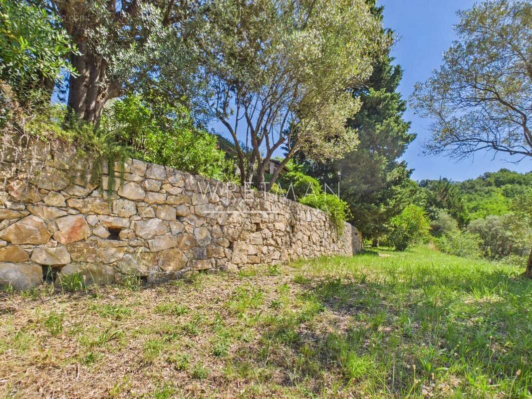 Maison à FAYENCE