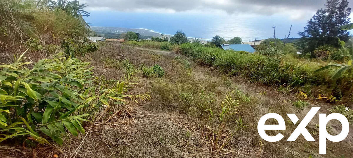 Terrain à SAINT-LEU