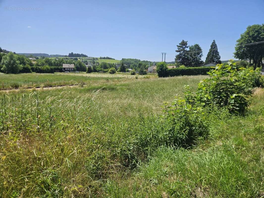 Terrain à TENCE