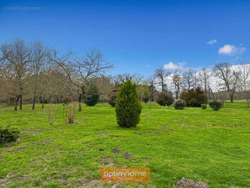 Authentique Landaise en pierres et colombages sur 17 000 M2 de terrain arboré - photo 16
