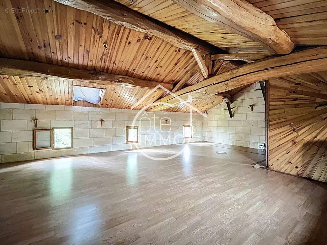 Saint Terre : Maison avec accès privatif à la Dordogne - photo 9