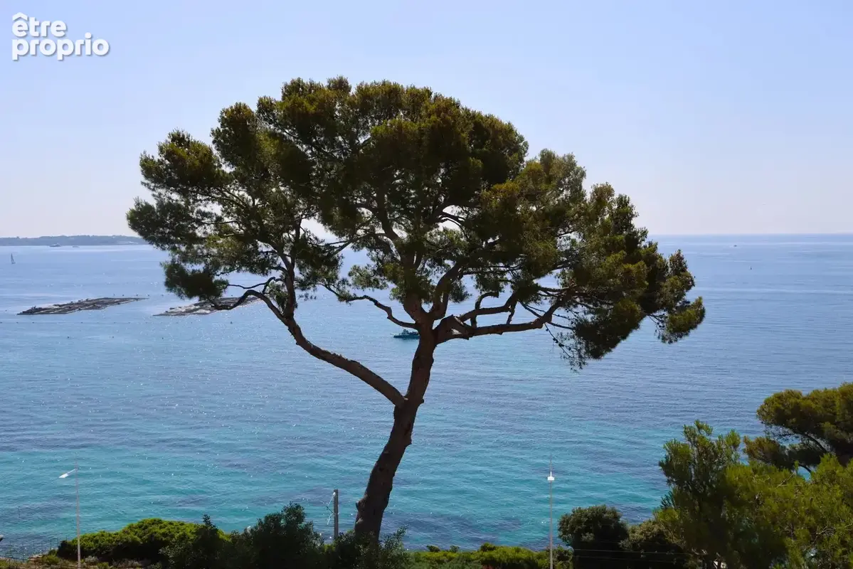 Penthouse proche Croisette - photo 11