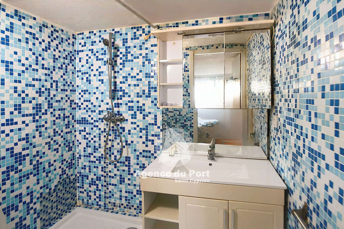 Appartement à SAINT-CYPRIEN