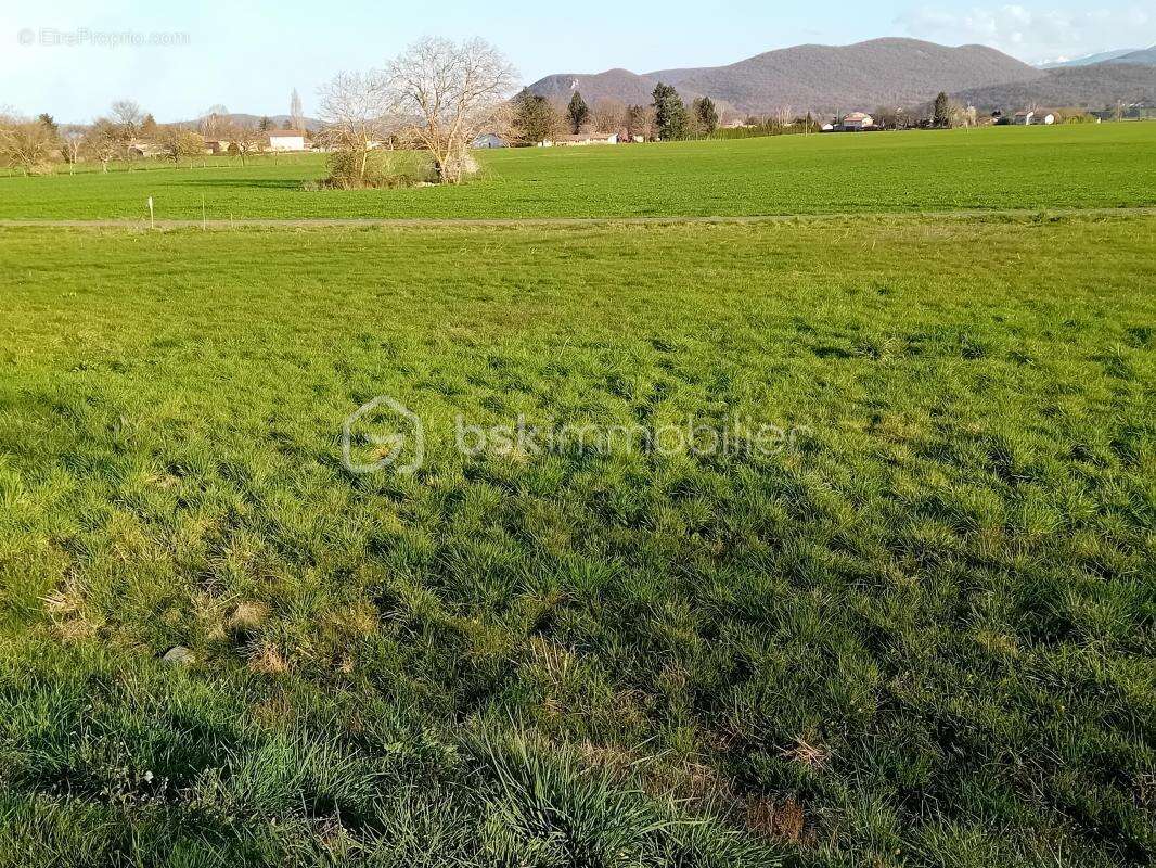 Terrain constructible  1578 m² vue sur les Pyrénées - photo 2