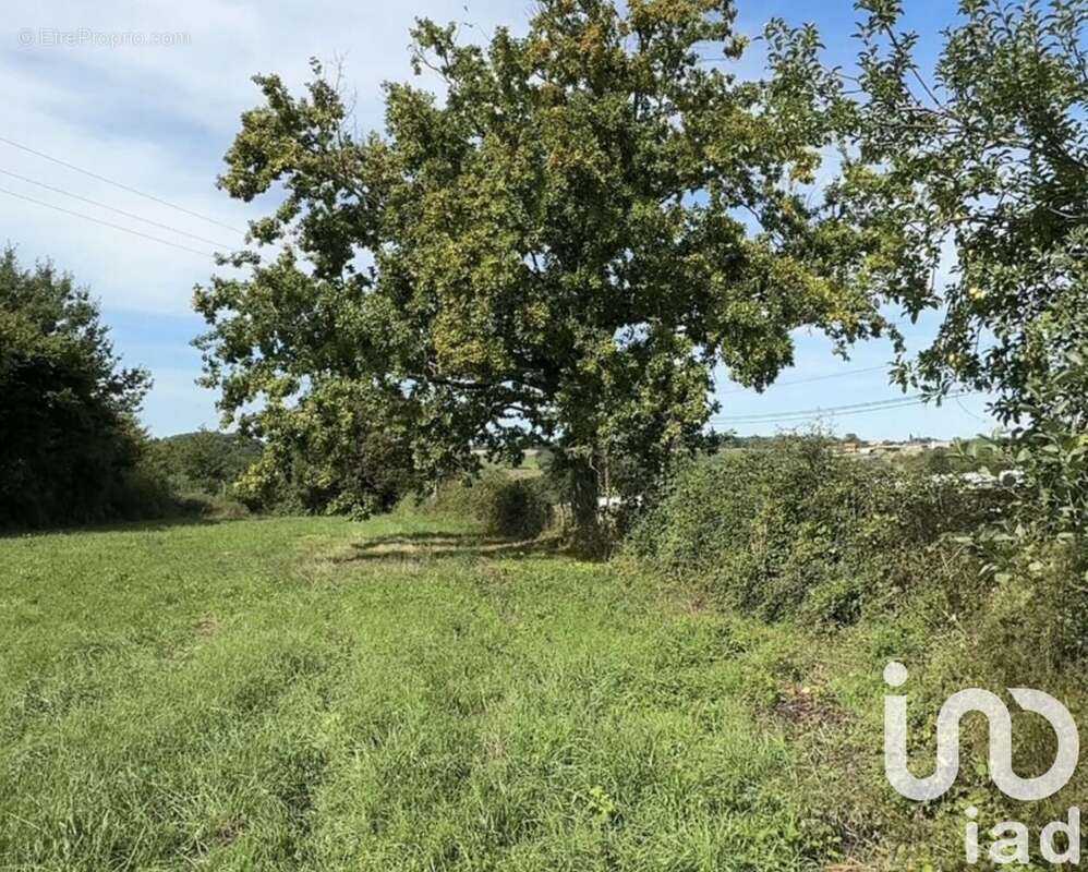 Photo 4 - Terrain à VILLENEUVE-DE-RIVIERE