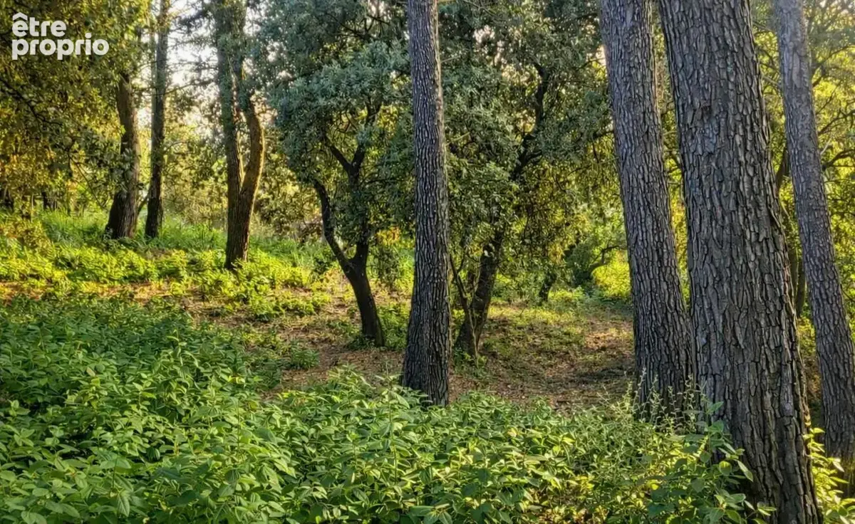 Terrain consctructible 1246m2 bollene 130 000 euros - photo 2