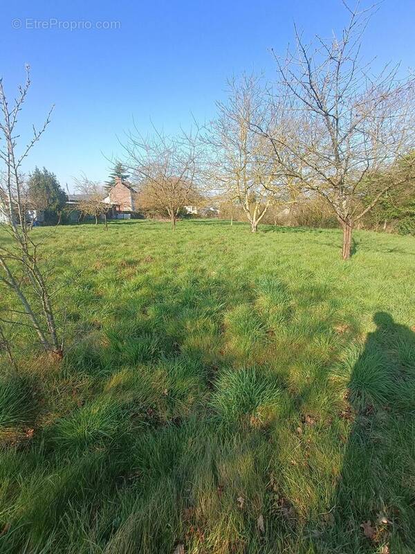 Photo 1 - Terrain à LES DAMPS