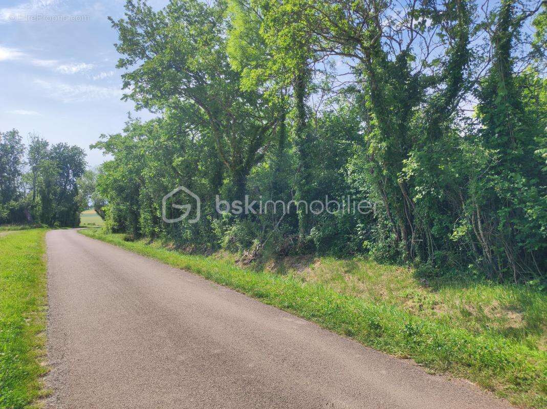  Terrain constructible de 3 630 m² – Cadre boisé et environnement privilégié - photo 4