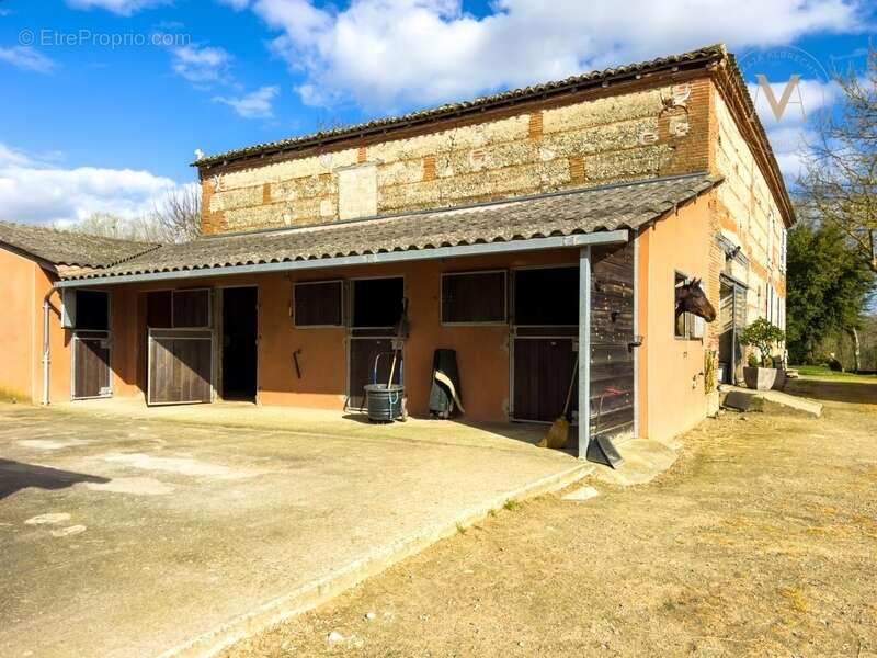 Propriété équestre de standing – Installations haut de gamme – 5 ha – Un bien rare offrant des infrastructures professionnelles, - photo 15
