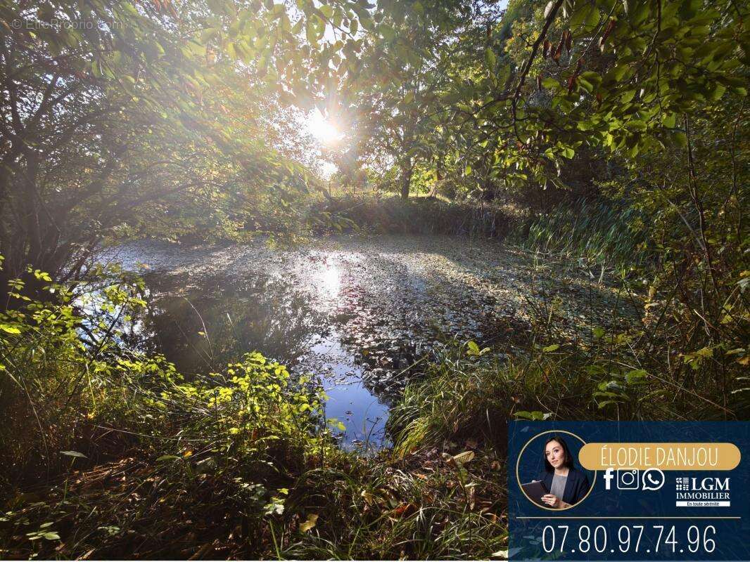 Maison à SAINT-HILAIRE-LA-GRAVELLE