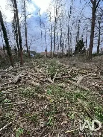 Photo 1 - Terrain à LARCHANT