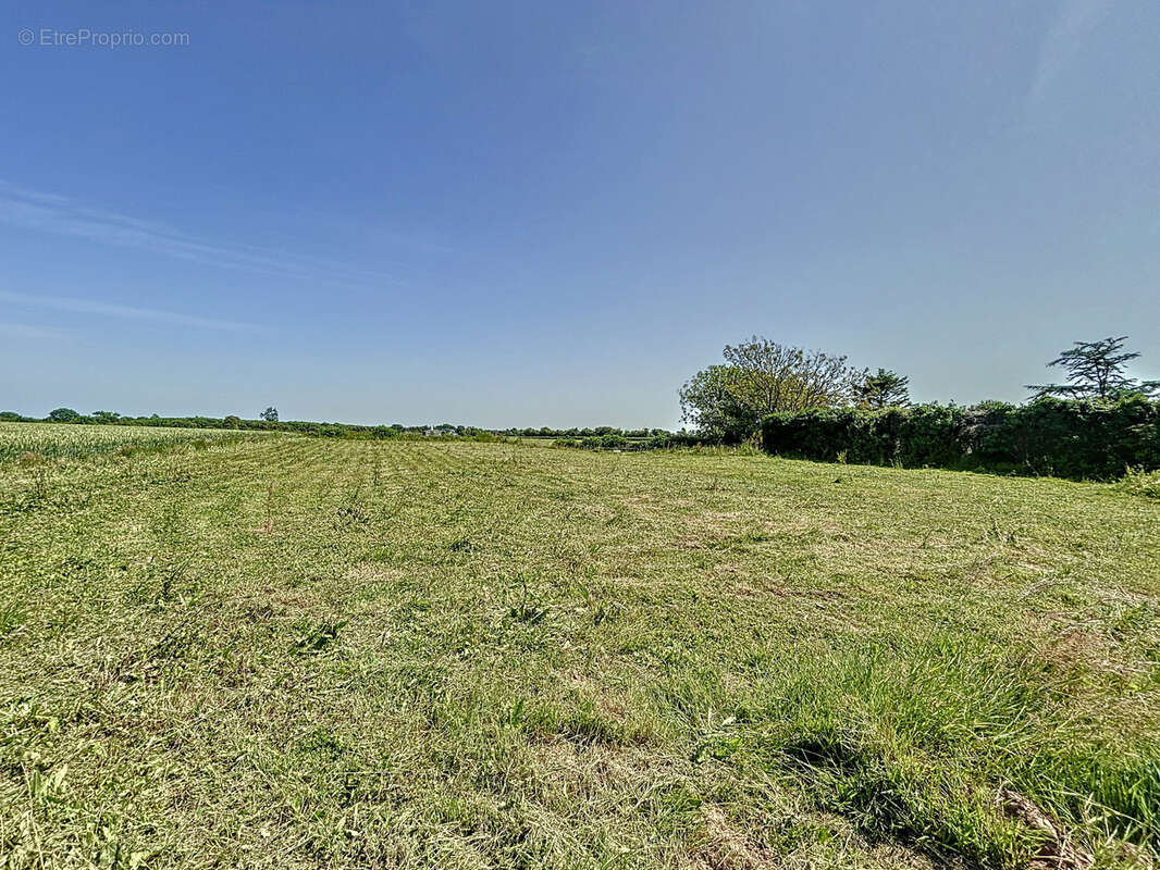 Terrain à PORTBAIL