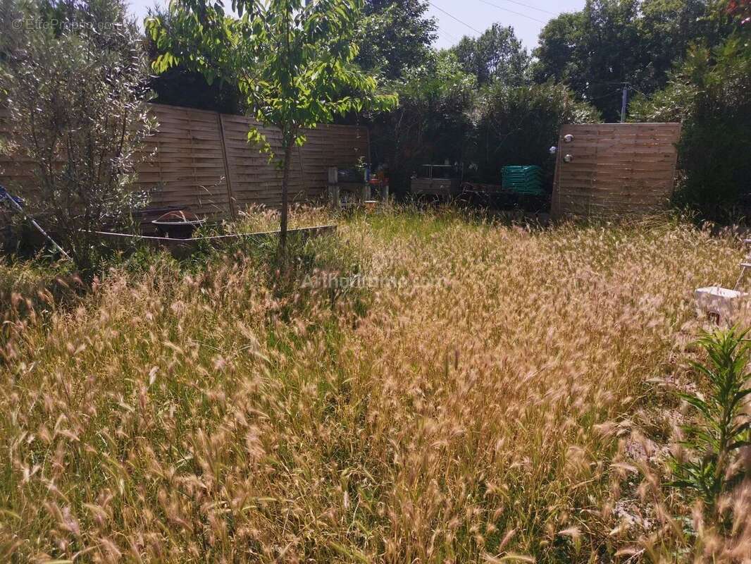 Maison à NOISY-LE-GRAND