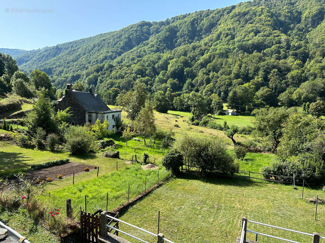 Maison à SAINT-VINCENT-DE-SALERS