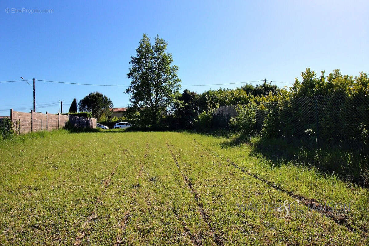 Terrain à SAINT-LEON