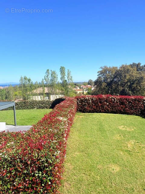 Biguglia Appartement F2 avec terrasse de 31 m2 - photo 6