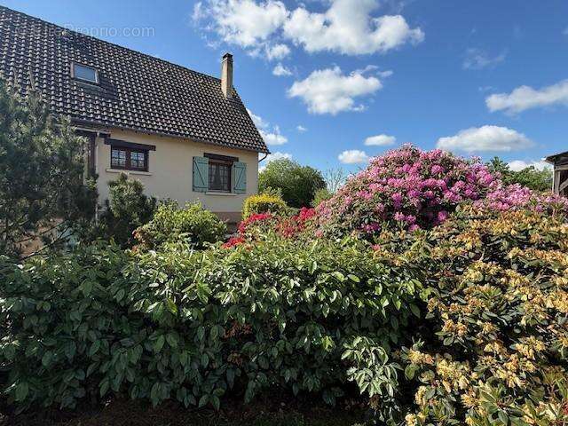 Maison 98 m² à Tordouet  - photo 2